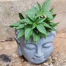 Vaso Decorativo Zen Buda